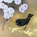 Koji Matsumura Gallery